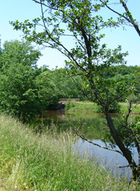 Le port de Frahier et le canal d'irrigation