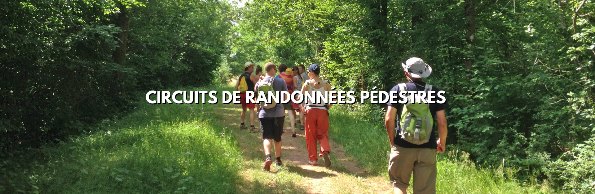 circuits-de-randonnee-pedestre-3a3774